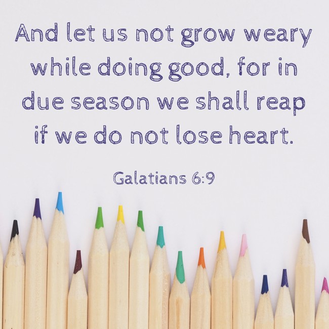 And let us not grow weary while doing good, for in due season we shall reap if we do not lose heart. - Galatians 6:9