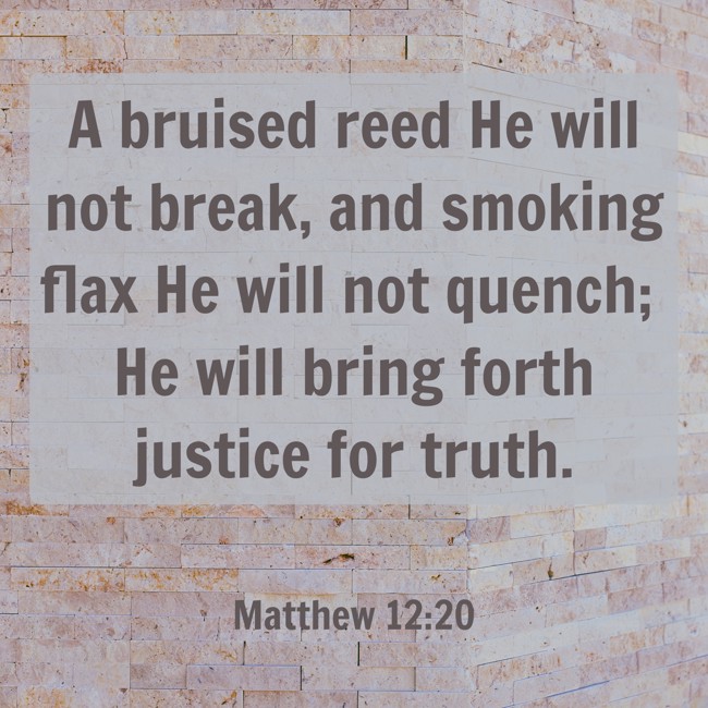 A bruised reed He will not break, and smoking flax He will not quench; He will bring forth justice for truth. - Matthew 12:20