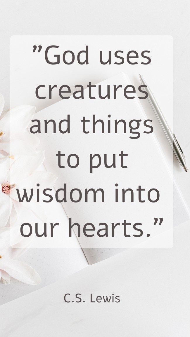 God uses creatures and things to put wisdom into our hearts. - C.S. Lewis