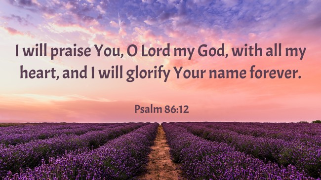 I will praise You, O Lord my God, with all my heart, and I will glorify Your name forever. - Psalm 86:12