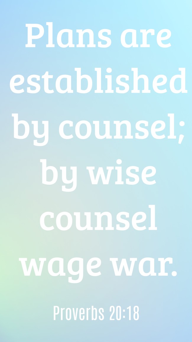 Plans are established by counsel; by wise counsel wage war. - Proverbs 20:18