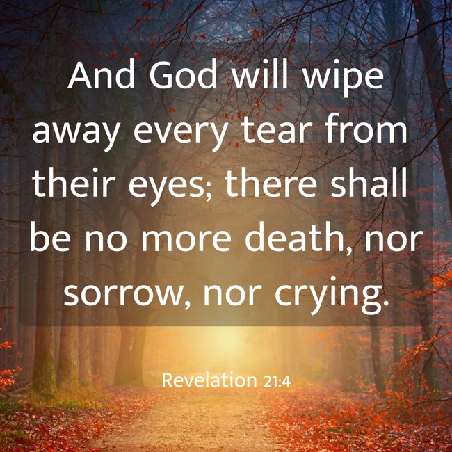 And God will wipe away every tear from their eyes; there shall be no more death, nor sorrow, nor crying. - Revelation 21:4