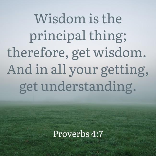 Wisdom is the principal thing; therefore, get wisdom. And in all your getting, get understanding. - Proverbs 4:7