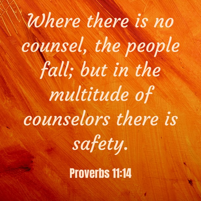 Where there is no counsel, the people fall; but in the multitude of counselors there is safety. - Proverbs 11:14