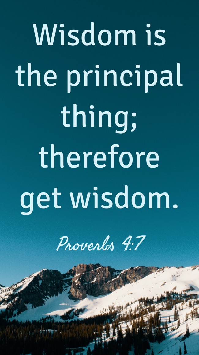 Wisdom is the principal thing; therefore get wisdom. - Proverbs 4:7