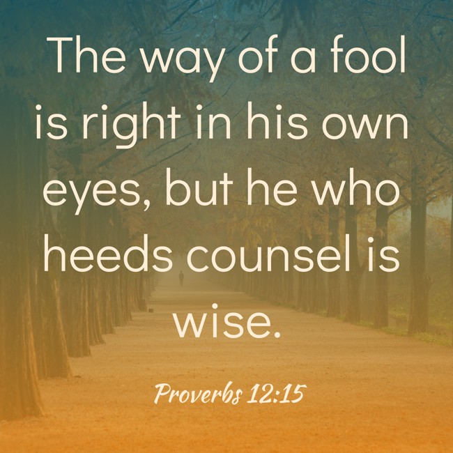 The way of a fool is right in his own eyes, but he who heeds counsel is wise. - Proverbs 12:15