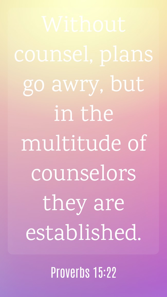 Without counsel, plans go awry, but in the multitude of counselors they are established. - Proverbs 15:22