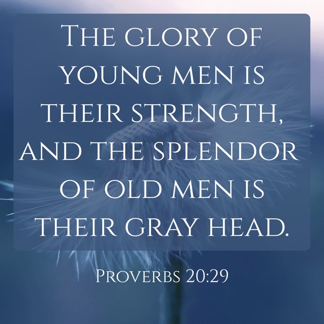 The glory of young men is their strength, and the splendor of old men is their gray head. - Proverbs 20:29