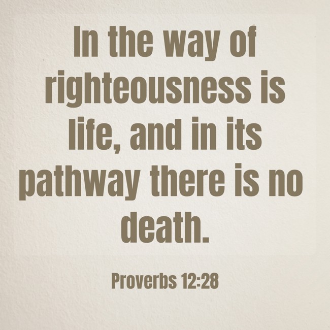 In the way of righteousness is life, and in its pathway there is no death. - Proverbs 12:28