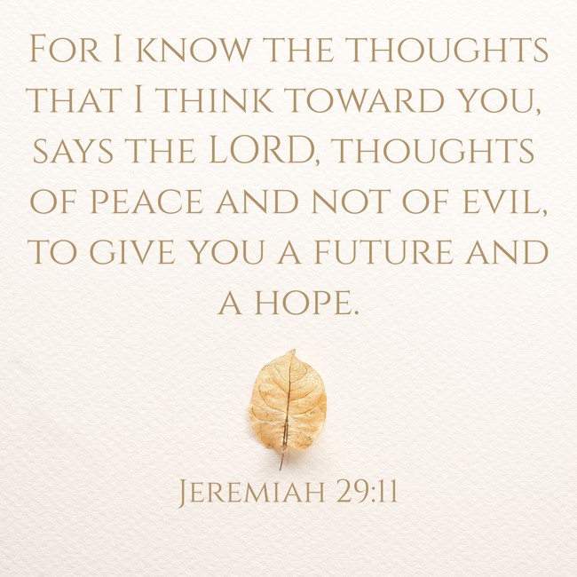 For I know the thoughts that I think toward you, says the LORD, thoughts of peace and not of evil, to give you a future and a hope. - Jeremiah 29:11