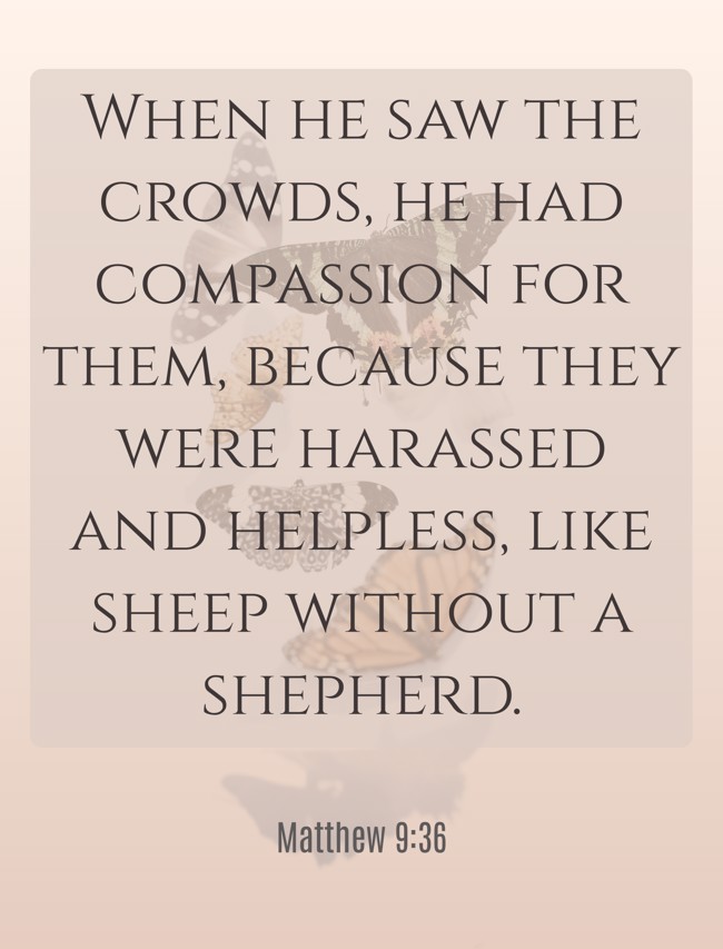 When he saw the crowds, he had compassion for them, because they were harassed and helpless, like sheep without a shepherd. - Matthew 9:36