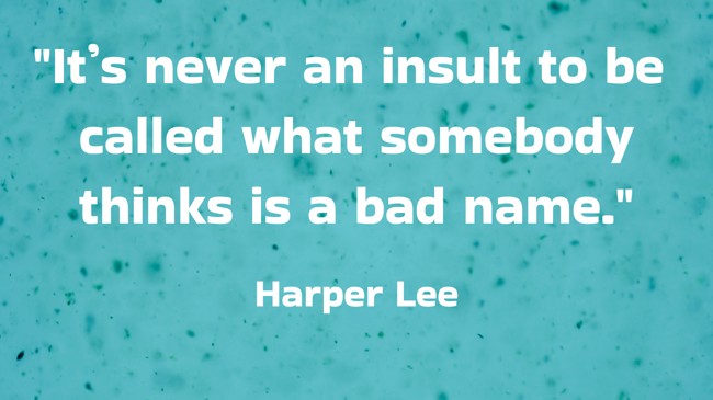 It’s never an insult to be called what somebody thinks is a bad name. - Harper Lee