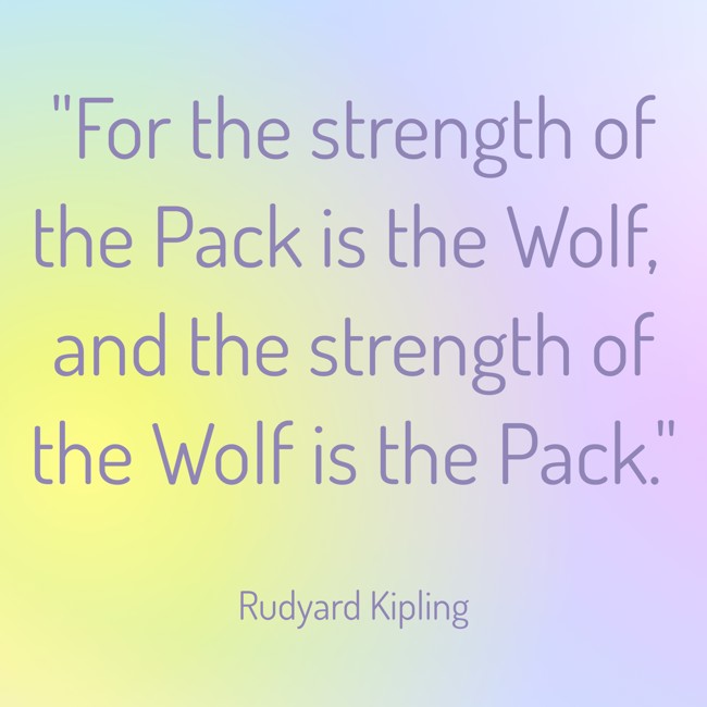 For the strength of the Pack is the Wolf, and the strength of the Wolf is the Pack. - Rudyard Kipling