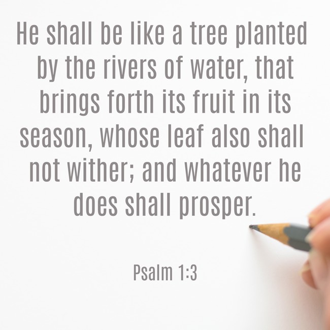 He shall be like a tree planted by the rivers of water, that brings forth its fruit in its season, whose leaf also shall not wither; and whatever he does shall prosper. - Psalm 1:3
