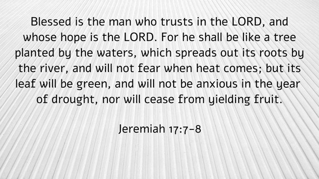 Blessed is the man who trusts in the LORD, and whose hope is the LORD. For he shall be like a tree planted by the waters, which spreads out its roots by the river, and will not fear when heat comes; but its leaf will be green, and will not be anxious in the year of drought, nor will cease from yielding fruit. - Jeremiah 17:7-8