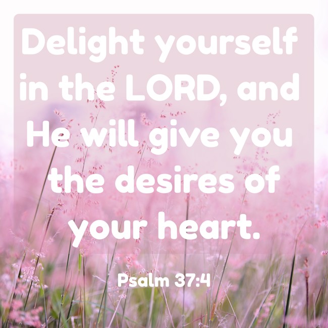 Delight yourself in the LORD, and He will give you the desires of your heart. - Psalm 37:4