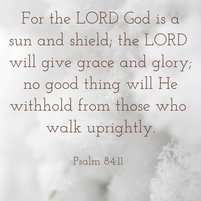 For the LORD God is a sun and shield; the LORD will give grace and glory; no good thing will He withhold from those who walk uprightly. - Psalm 84:11