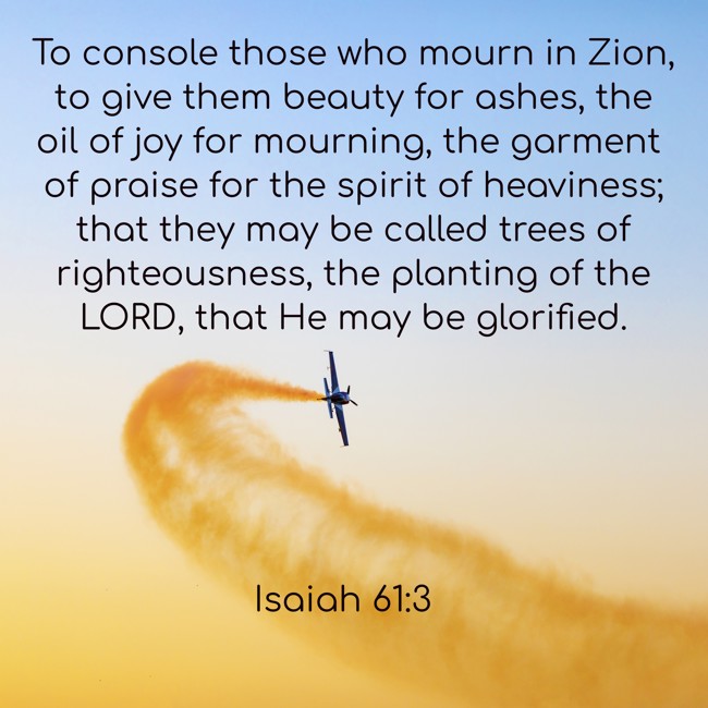 To console those who mourn in Zion, to give them beauty for ashes, the oil of joy for mourning, the garment of praise for the spirit of heaviness; that they may be called trees of righteousness, the planting of the LORD, that He may be glorified. - Isaiah 61:3