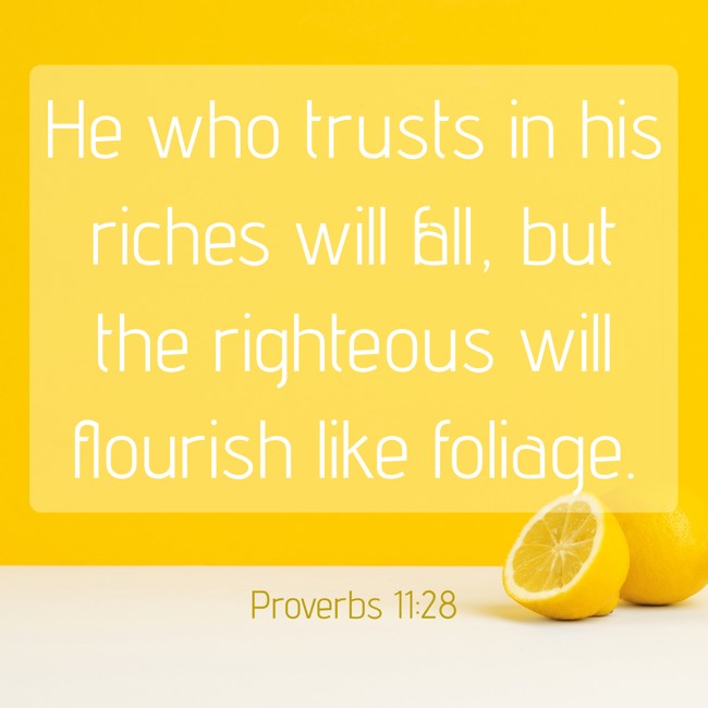 He who trusts in his riches will fall, but the righteous will flourish like foliage. - Proverbs 11:28