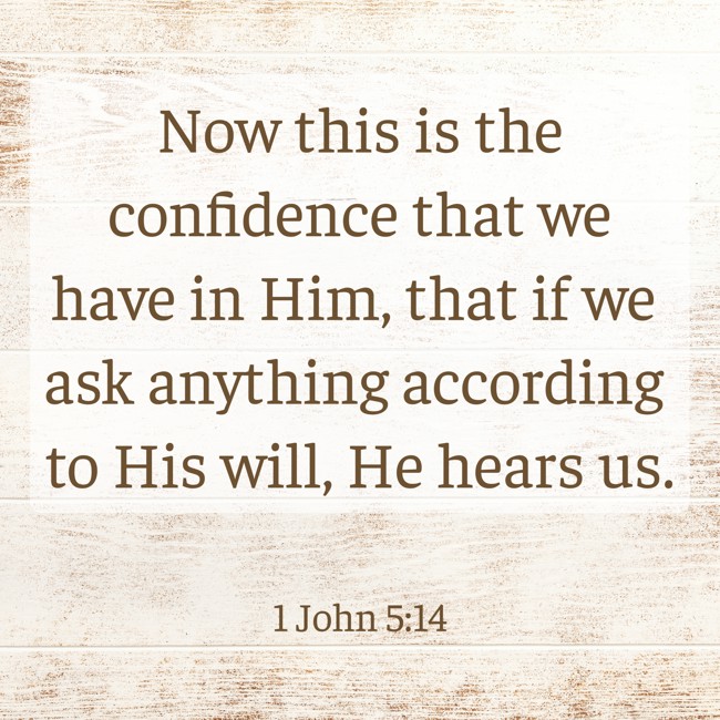 Now this is the confidence that we have in Him, that if we ask anything according to His will, He hears us. - 1 John 5:14