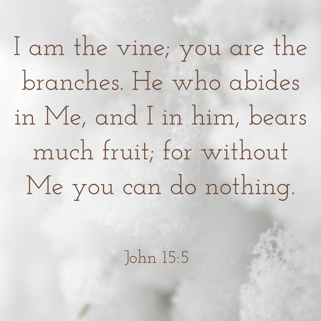 I am the vine; you are the branches. He who abides in Me, and I in him, bears much fruit; for without Me you can do nothing. - John 15:5