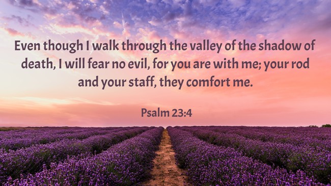 Even though I walk through the valley of the shadow of death, I will fear no evil, for you are with me; your rod and your staff, they comfort me. - Psalm 23:4