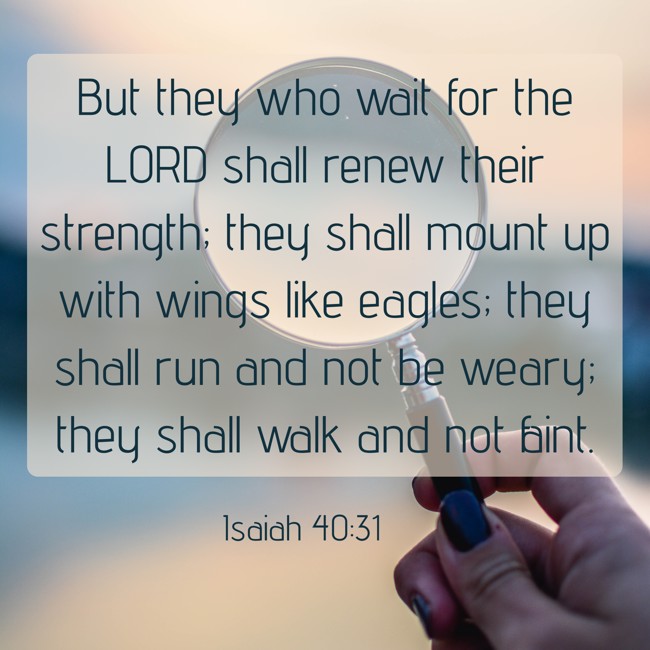 But they who wait for the LORD shall renew their strength; they shall mount up with wings like eagles; they shall run and not be weary; they shall walk and not faint. - Isaiah 40:31
