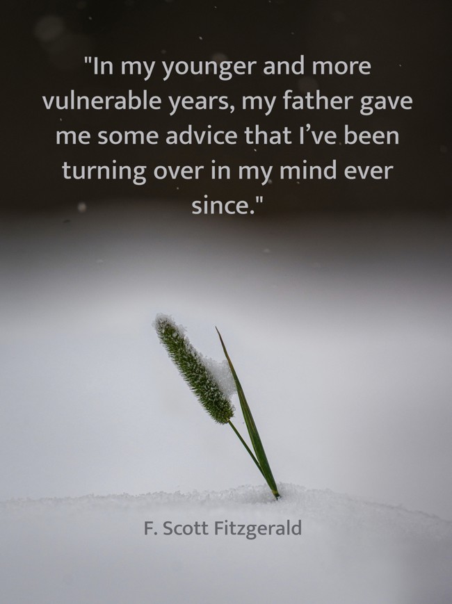 In my younger and more vulnerable years, my father gave me some advice that I’ve been turning over in my mind ever since. - F. Scott Fitzgerald
