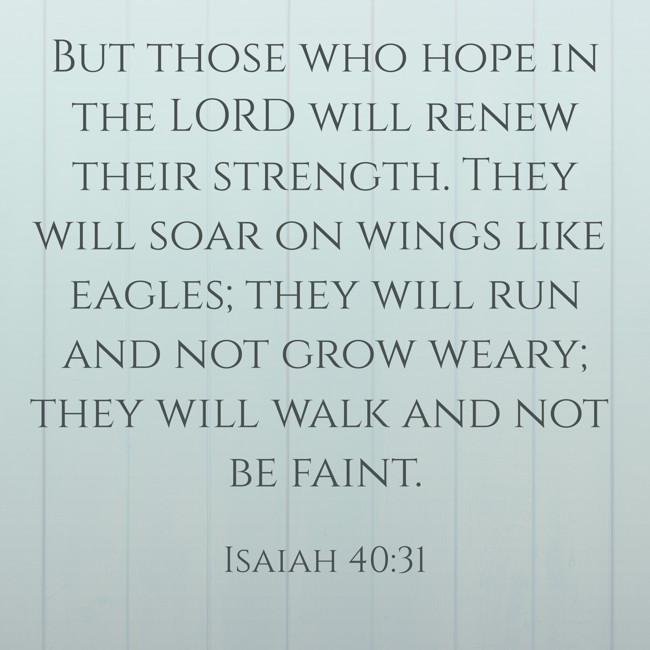 But those who hope in the LORD will renew their strength. They will soar on wings like eagles; they will run and not grow weary; they will walk and not be faint. - Isaiah 40:31