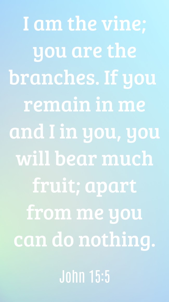I am the vine; you are the branches. If you remain in me and I in you, you will bear much fruit; apart from me you can do nothing. - John 15:5