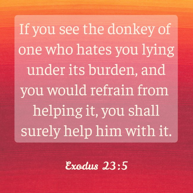 If you see the donkey of one who hates you lying under its burden, and you would refrain from helping it, you shall surely help him with it. - Exodus 23:5