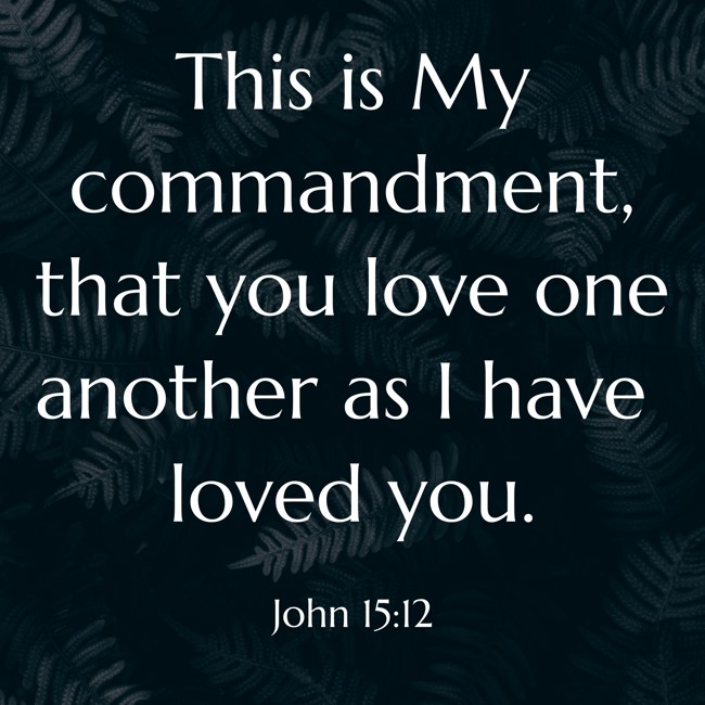 This is My commandment, that you love one another as I have loved you. - John 15:12