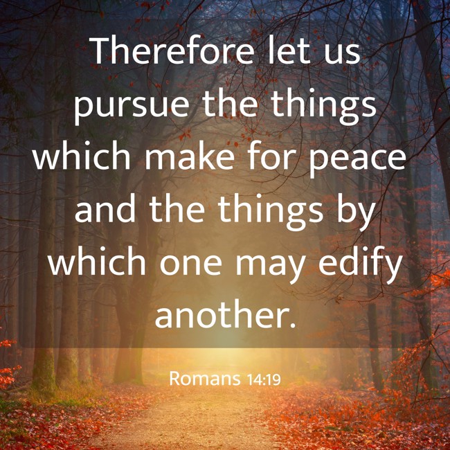 Therefore let us pursue the things which make for peace and the things by which one may edify another. - Romans 14:19