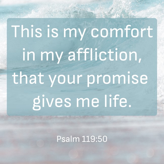 This is my comfort in my affliction, that your promise gives me life. - Psalm 119:50