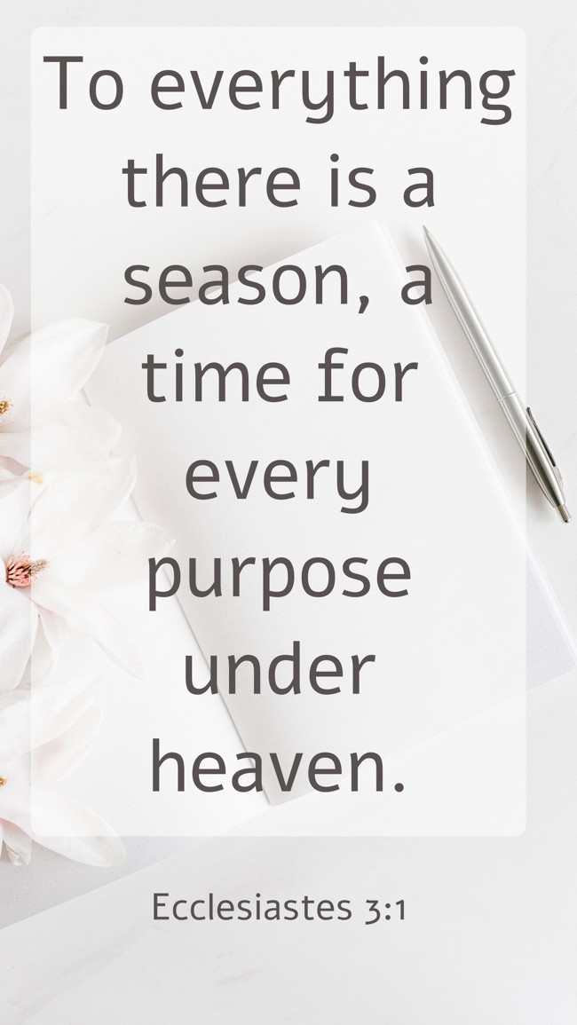 To everything there is a season, a time for every purpose under heaven. - Ecclesiastes 3:1