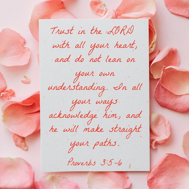 Trust in the LORD with all your heart, and do not lean on your own understanding. In all your ways acknowledge him, and he will make straight your paths. - Proverbs 3:5-6
