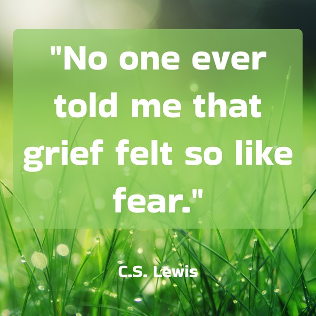 No one ever told me that grief felt so like fear. - C.S. Lewis