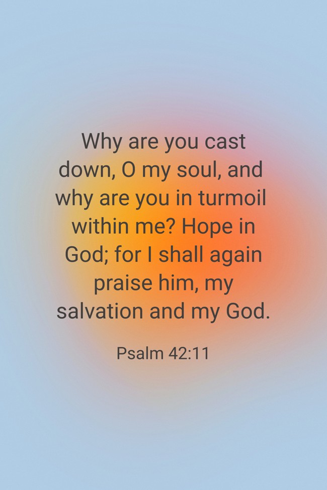 Why are you cast down, O my soul, and why are you in turmoil within me? Hope in God; for I shall again praise him, my salvation and my God. - Psalm 42:11