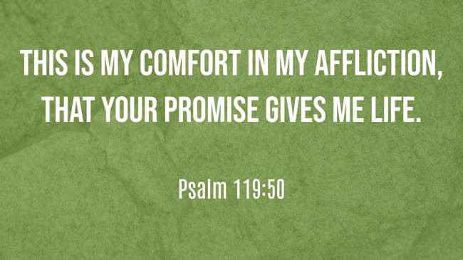 This is my comfort in my affliction, that your promise gives me life. - Psalm 119:50