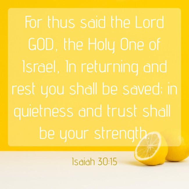 For thus said the Lord GOD, the Holy One of Israel, In returning and rest you shall be saved; in quietness and trust shall be your strength. - Isaiah 30:15
