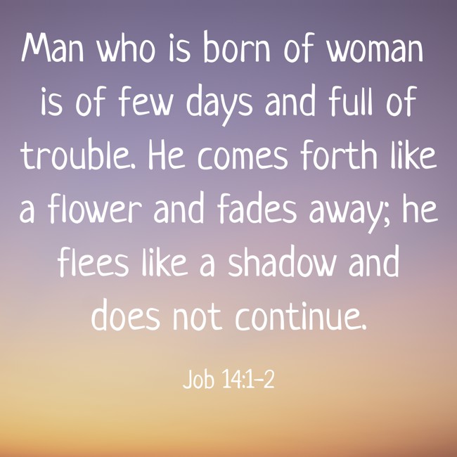 Man who is born of woman is of few days and full of trouble. He comes forth like a flower and fades away; he flees like a shadow and does not continue. - Job 14:1-2