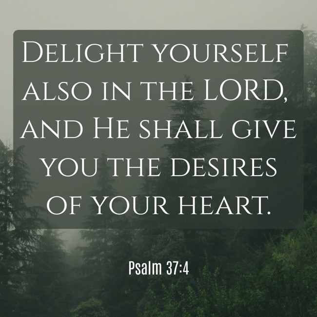 Delight yourself also in the LORD, and He shall give you the desires of your heart. - Psalm 37:4