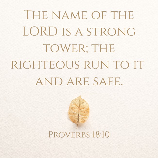 The name of the LORD is a strong tower; the righteous run to it and are safe. - Proverbs 18:10