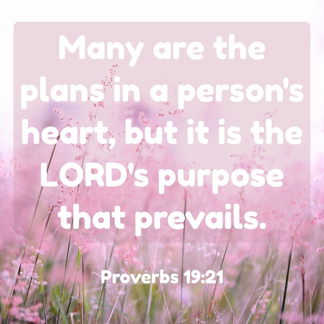 Many are the plans in a person's heart, but it is the LORD's purpose that prevails. - Proverbs 19:21