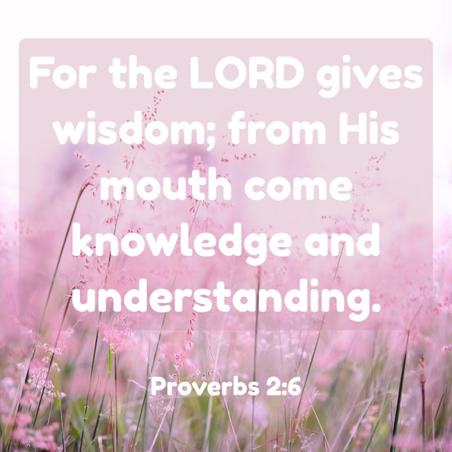 For the LORD gives wisdom; from His mouth come knowledge and understanding. - Proverbs 2:6