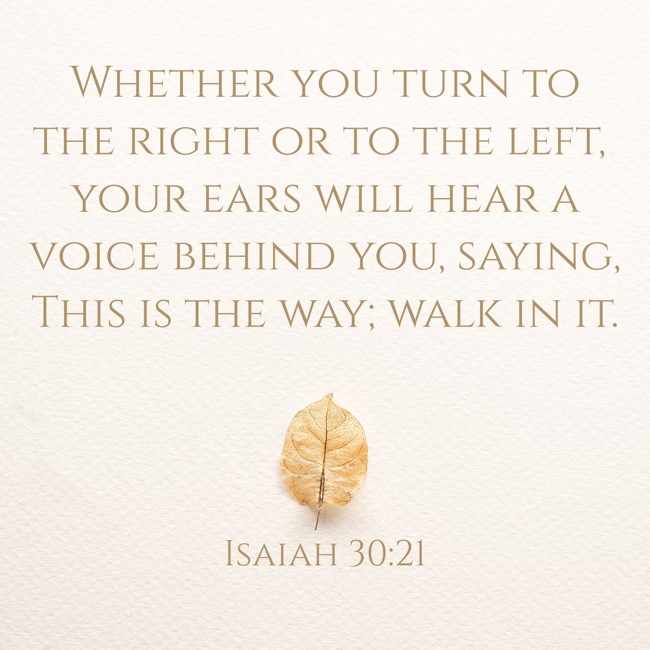 Whether you turn to the right or to the left, your ears will hear a voice behind you, saying, This is the way; walk in it. - Isaiah 30:21