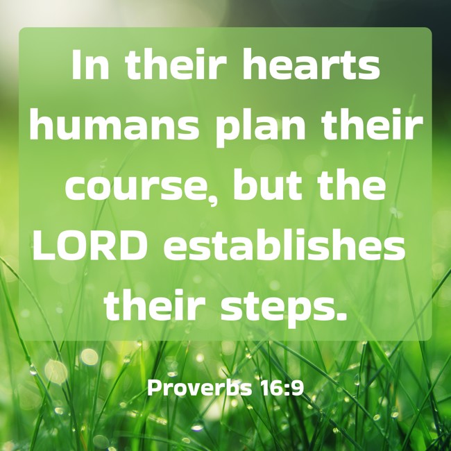 In their hearts humans plan their course, but the LORD establishes their steps. - Proverbs 16:9
