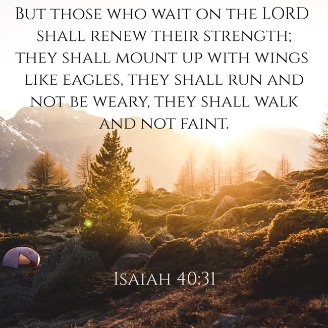 But those who wait on the LORD shall renew their strength; they shall mount up with wings like eagles, they shall run and not be weary, they shall walk and not faint. - Isaiah 40:31