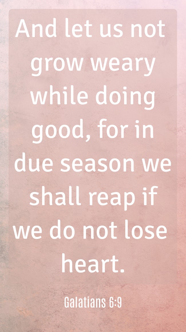 And let us not grow weary while doing good, for in due season we shall reap if we do not lose heart. - Galatians 6:9