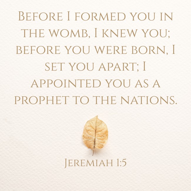 Before I formed you in the womb, I knew you; before you were born, I set you apart; I appointed you as a prophet to the nations. - Jeremiah 1:5